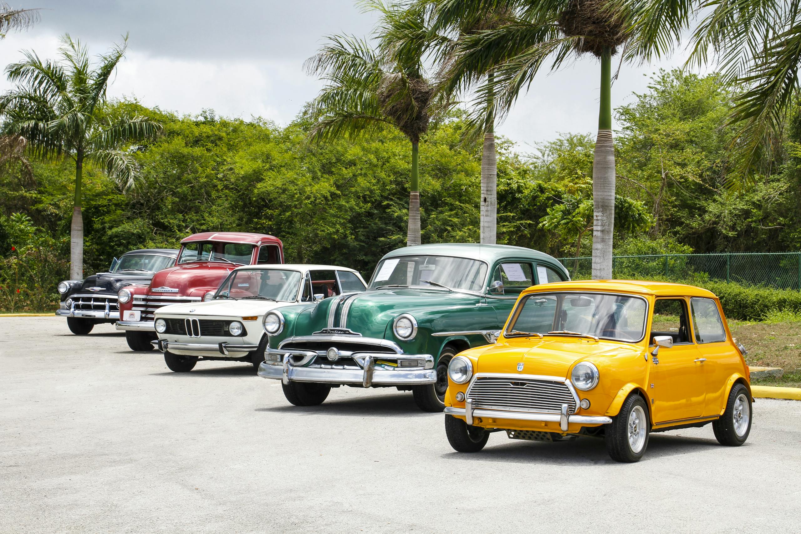 A lineup of vintage cars parked outdoors surrounded by palm trees on a sunny day.